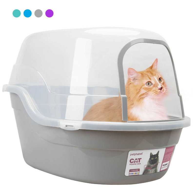 Petphabet litter box best sale